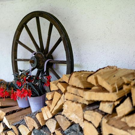 Ferienwohnung Duffner Schonach im Schwarzwald Bagian luar foto