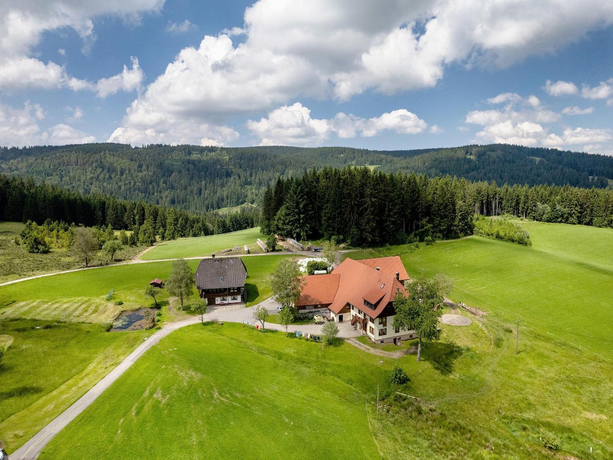 Ferienwohnung Duffner Schonach im Schwarzwald Bagian luar foto