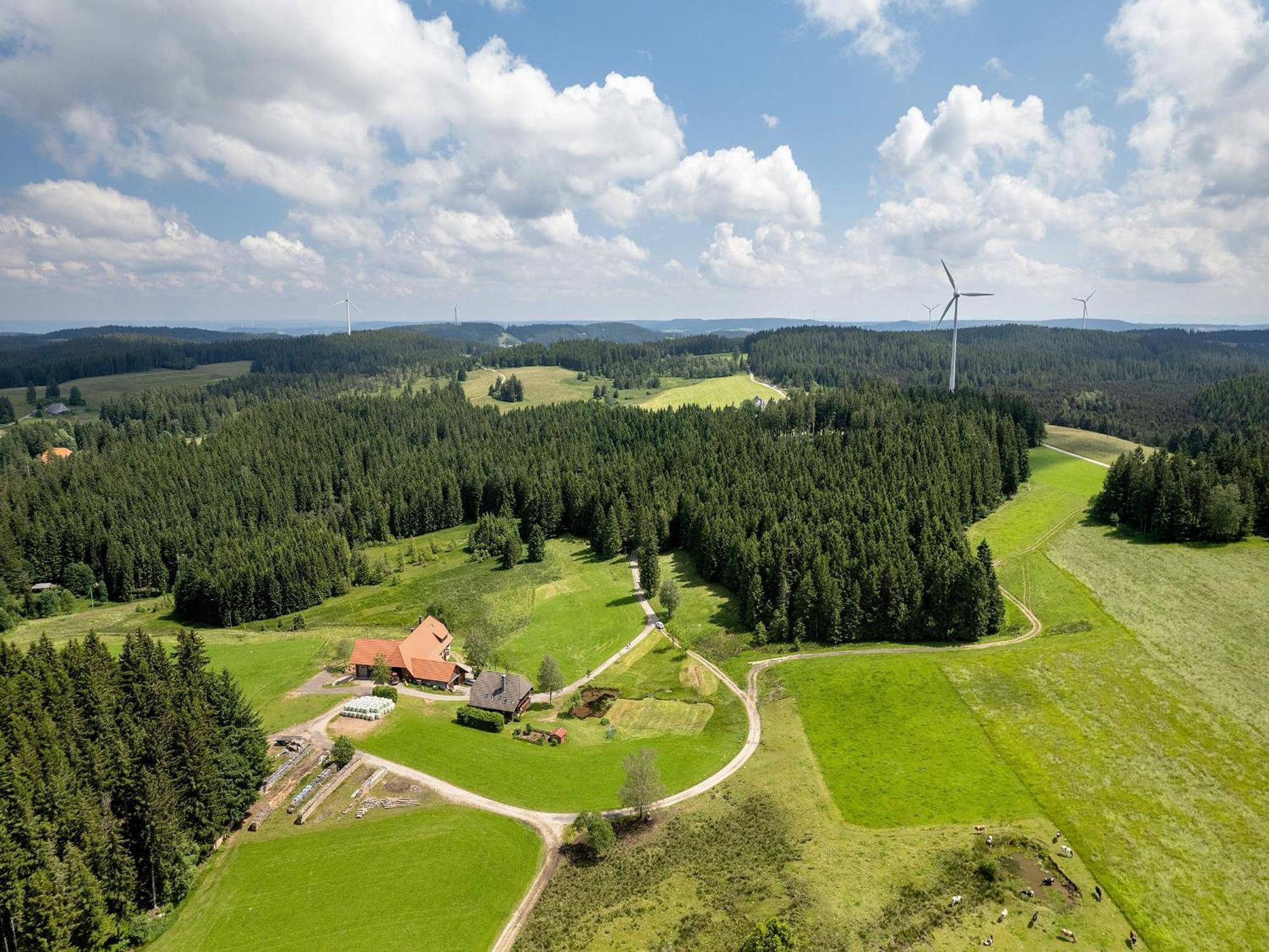 Ferienwohnung Duffner Schonach im Schwarzwald Bagian luar foto